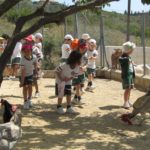 Reception - Trip to Farm 2