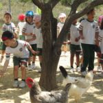 Reception - Trip to Farm 3