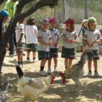 Reception - Trip to Farm 4
