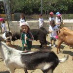 Reception - Trip to Farm 5