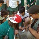 Botanical Garden Year 6 - 1