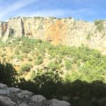 Cazorla 2016 - 6