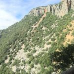 Cazorla 2016 - 7