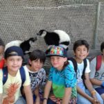 Selwo Aventura 2016 - 6