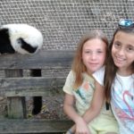 Selwo Aventura 2016 - 8