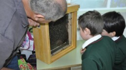 Beekeeping workshop 1