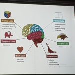 Talk about addictions - Doctor Carlos Sánchez Menéndez 3