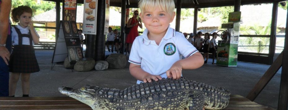 Crocodile Park Nursery 1