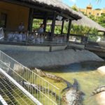 Crocodile Park Nursery 4