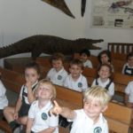 Crocodile Park Nursery 5