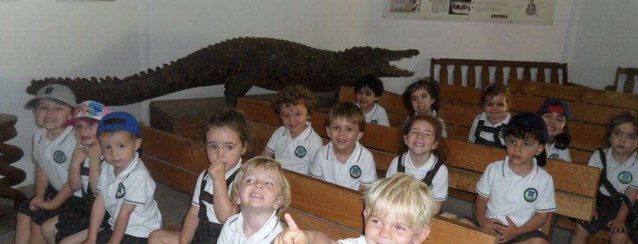 Crocodile Park Nursery 5