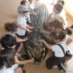 Crocodile Park Nursery 6