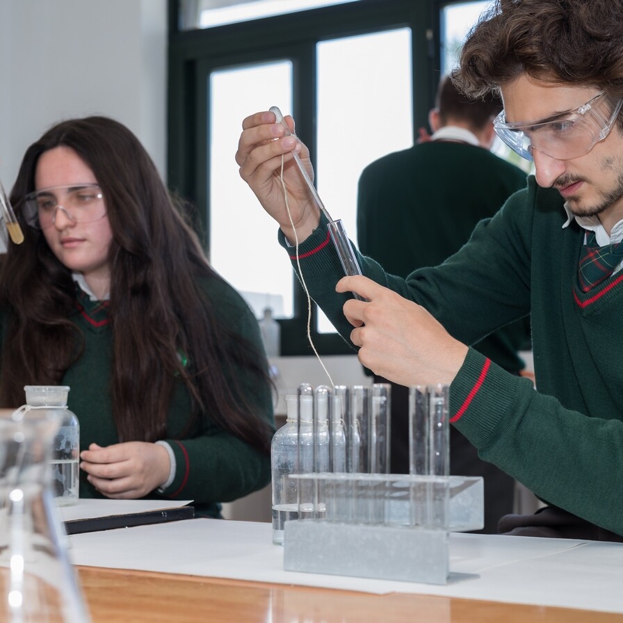 Science at The British College of Benalm&aacute;dena