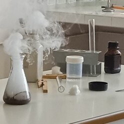 Year 2 Science Day 5