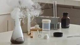 Year 2 Science Day 5