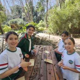 Jardin Botanico in Malaga 9